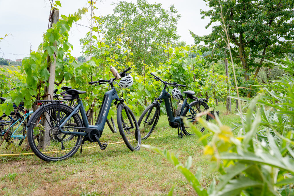 noleggio bici elettrica a riccione