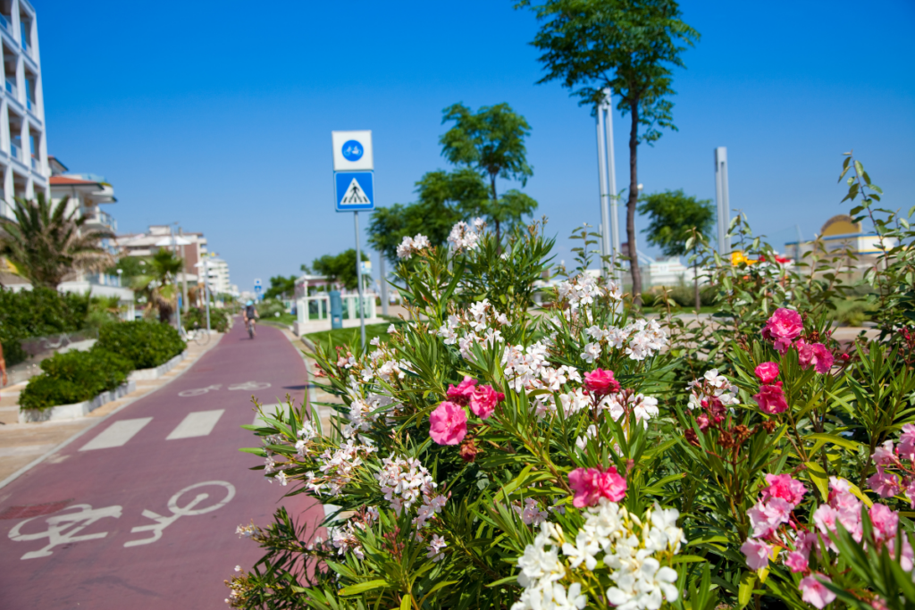 affitto biciclette a Riccione