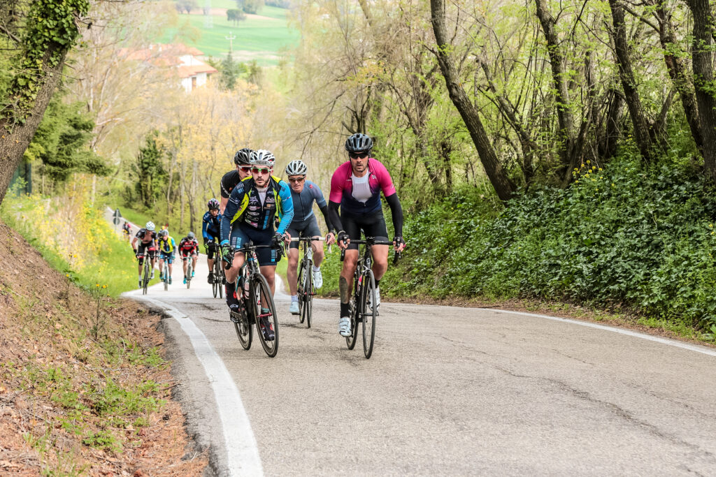 bicicletta da corsa